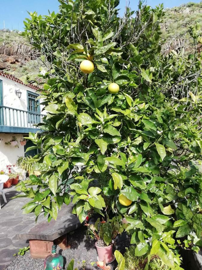 Grosse Finca 19Jh, Pool, Terrasse, Nahe Santa Cruz サンタ・クルス・デ・ラ・パルマ スペイン エクステリア 写真