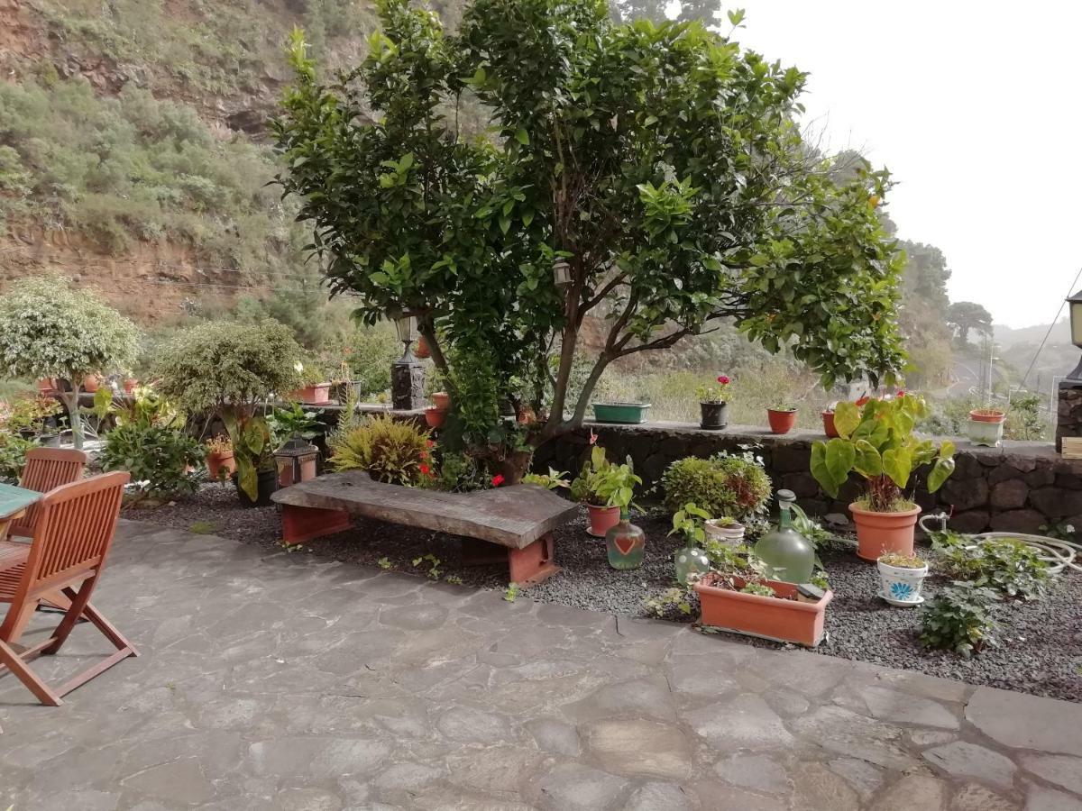 Grosse Finca 19Jh, Pool, Terrasse, Nahe Santa Cruz サンタ・クルス・デ・ラ・パルマ スペイン エクステリア 写真